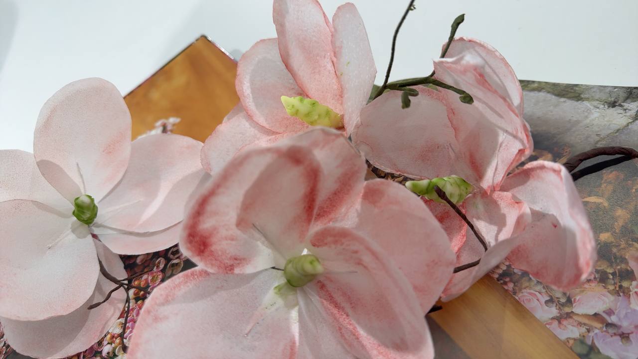 https://odry-school.ru/images/upload/photo_11_2026-03-22_14-37-39.jpg