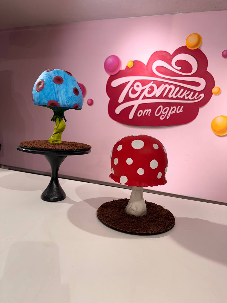 https://odry-school.ru/images/upload/photo_13_2026-03-22_14-50-21.jpg