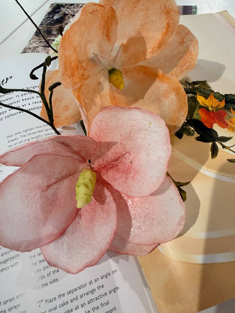 https://odry-school.ru/images/upload/photo_1_2026-03-22_14-44-09.jpg