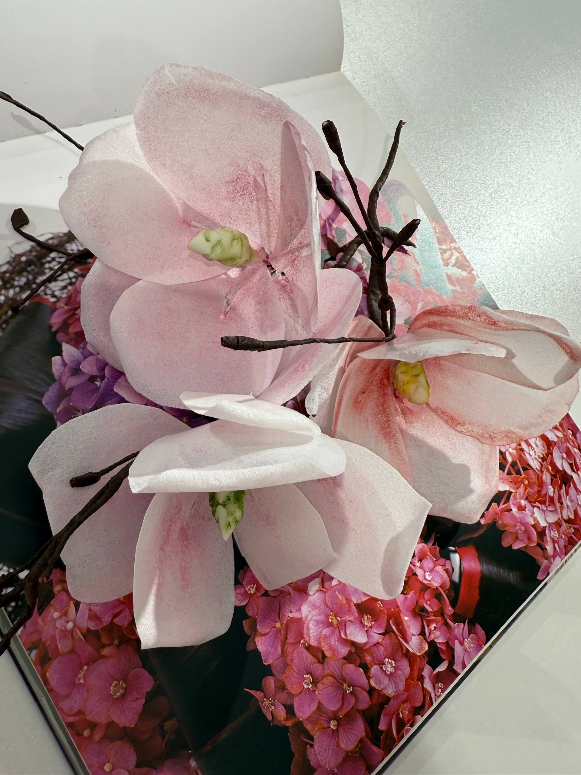 https://odry-school.ru/images/upload/photo_1_2026-03-22_15-05-35.jpg