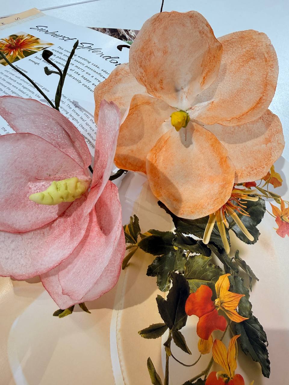 https://odry-school.ru/images/upload/photo_2_2026-03-22_14-44-09.jpg