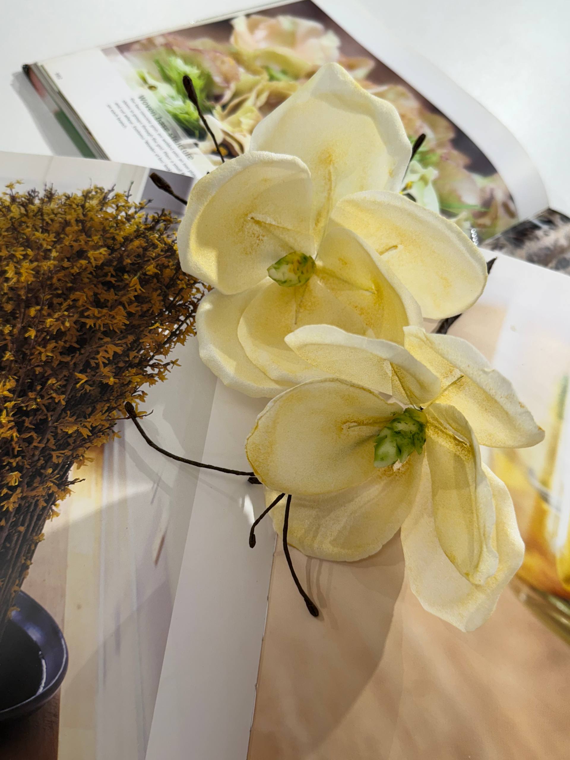 https://odry-school.ru/images/upload/photo_6_2026-03-22_15-05-35.jpg